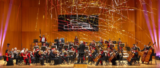 Musicveu Any Nou 2025