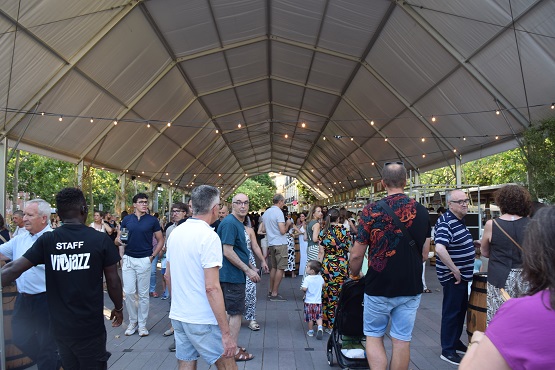 vijazz25